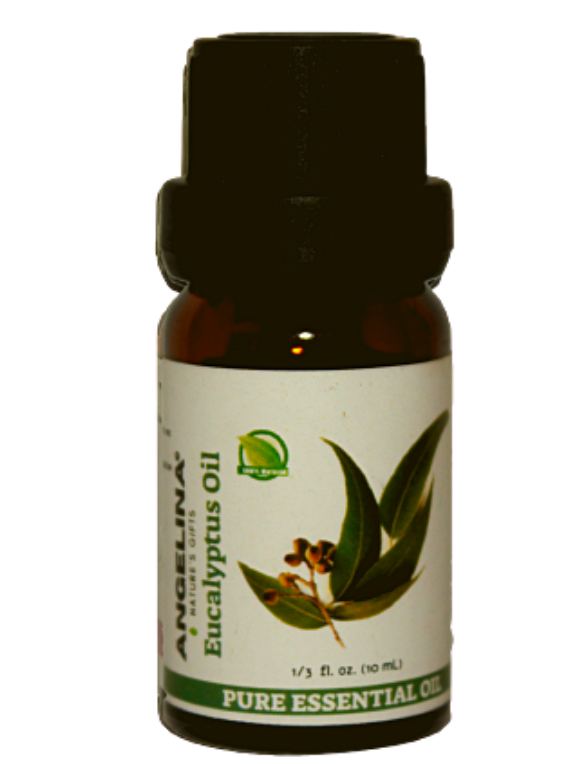 שמן אקליפטוס לימוני