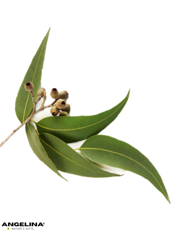 A drop of sweet-orange Angelina 365 pure pure essential oil https://smallgifts365.com/product/%d7%a9%d7%9e%d7%9f-%d7%90%d7%aa%d7%a8%d7%99-%d7%9c%d7%99%d7%9e%d7%95%d7%9f-lemon-oil/without harm