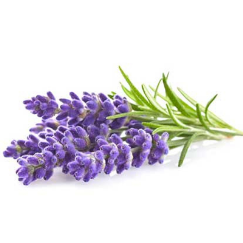 A drop of sweet-orange Angelina 365 pure pure essential oil https://smallgifts365.com/product/%d7%a9%d7%9e%d7%9f-%d7%90%d7%aa%d7%a8%d7%99-%d7%9c%d7%99%d7%9e%d7%95%d7%9f-lemon-oil/without harm