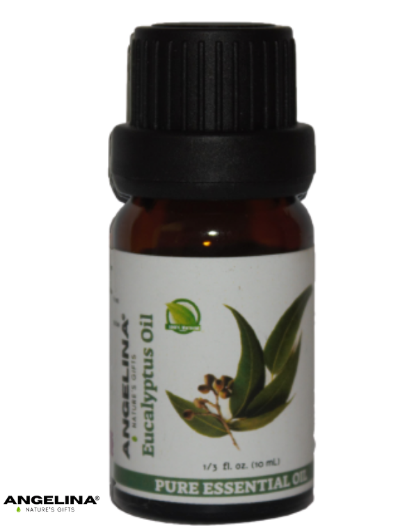 שמן אקליפטוס Eucalyptus Oil שמן אקליפטוס לימוני