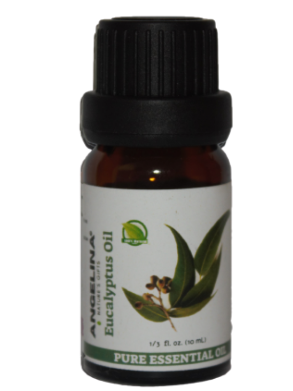 שמן אקליפטוס שמן אקליפטוס