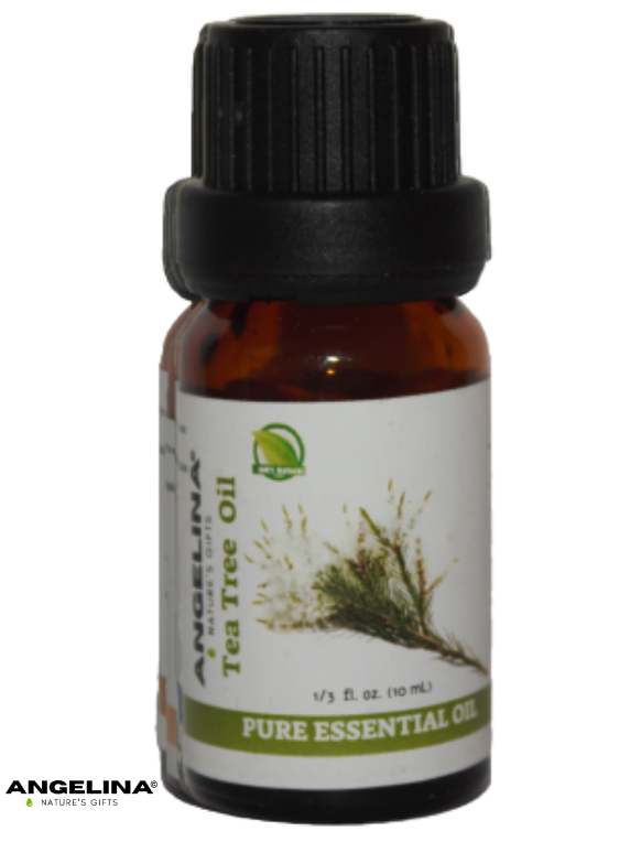 שמן עץ התה tea tree oil tea-tree-oil