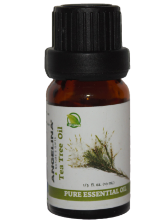 שמן עץ התה שמן עץ התה