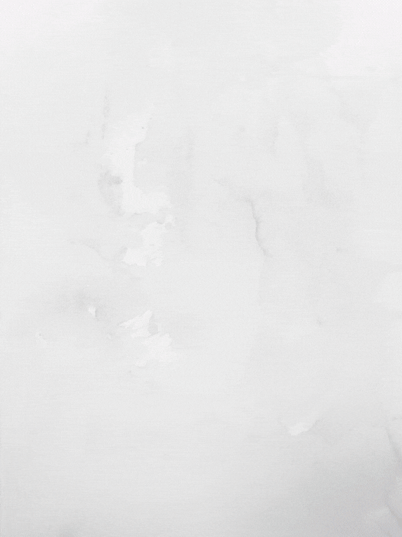 _נעלי הריצה והספורט הטובות Nike Air Zoom Pegasus 39 DD6203-005 נעלי הספורט